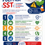 FLAYER POLITICA SST 2026